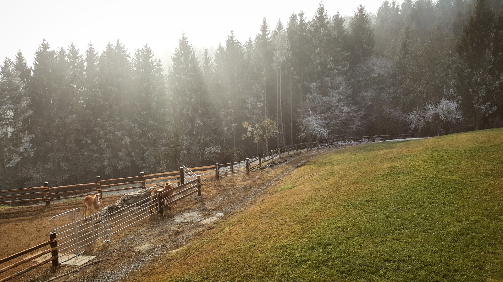 Styria, Austria - My, Fog, Photo, Alps, Austria, The mountains, Nature, Longpost