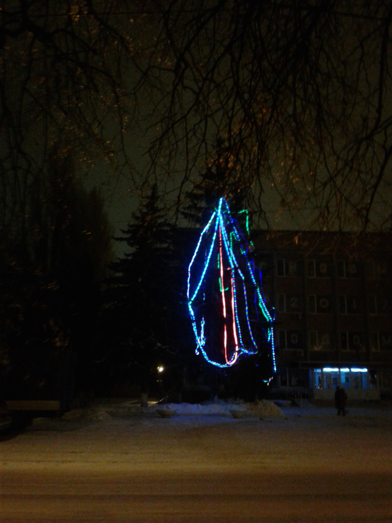 Kursk. - My, New Year, Christmas trees, Kursk, Longpost