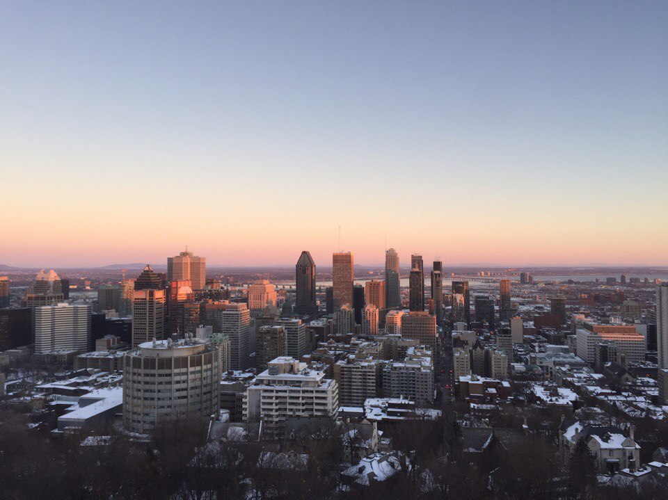 Sights of Montreal. - Canada, Montreal, Longpost, Photo, Travels, Christmas, Squirrel, North America, Video