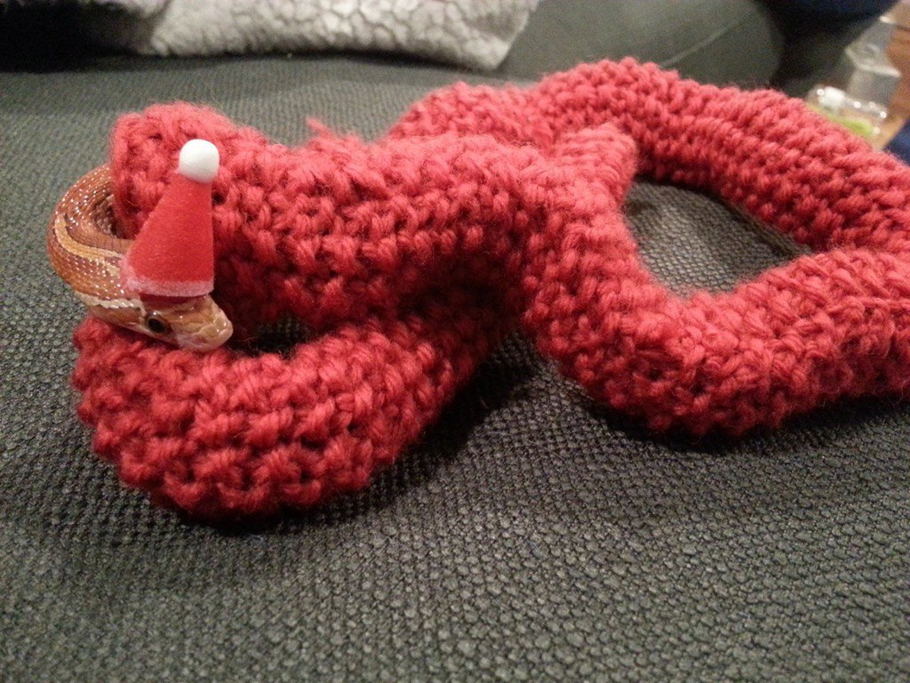 The snake tied a Christmas sweater - Snake, Pullover