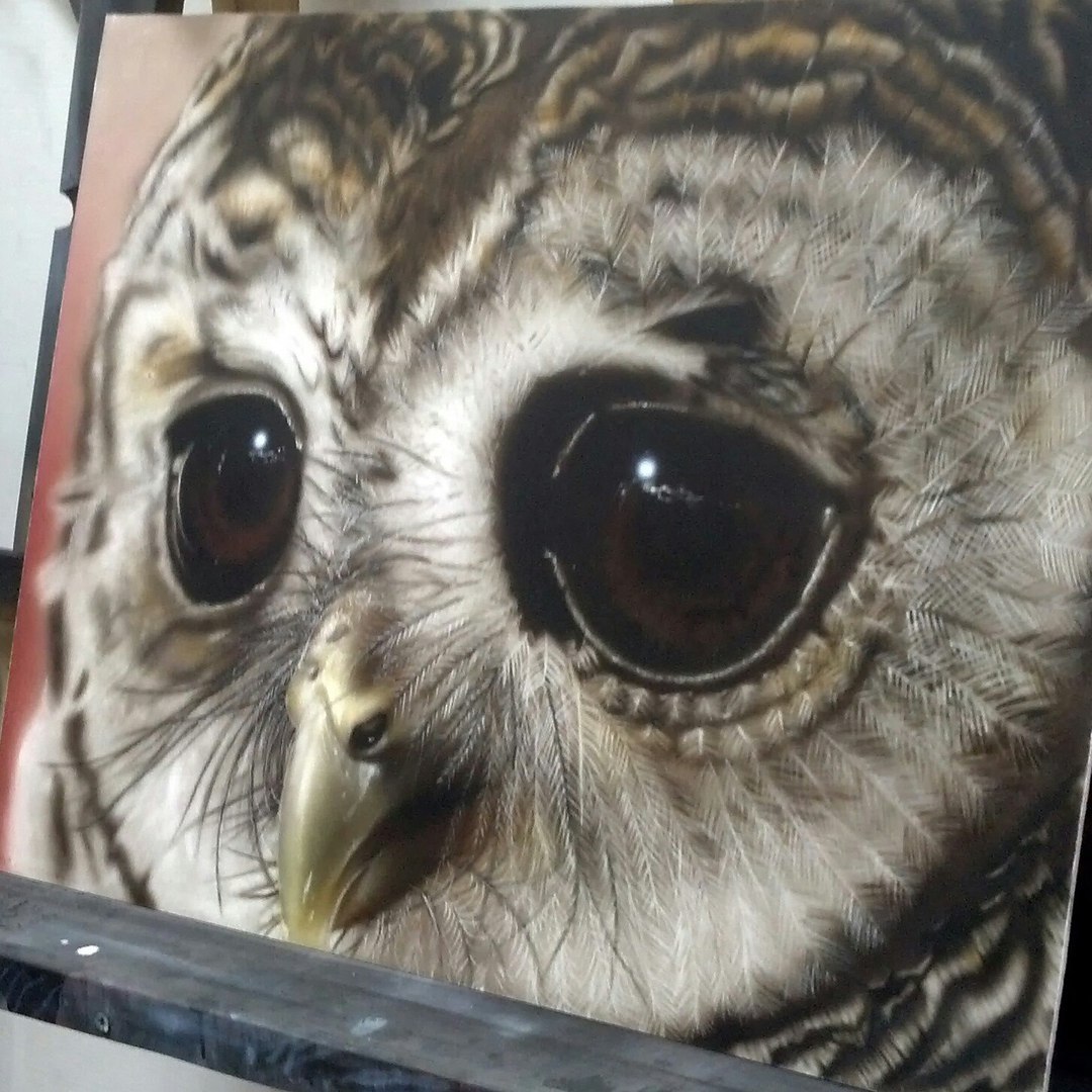 First airbrush painting, process - My, Airbrushing, Owl, Artist, Eyes, Art, Art, Creation, Process, Longpost