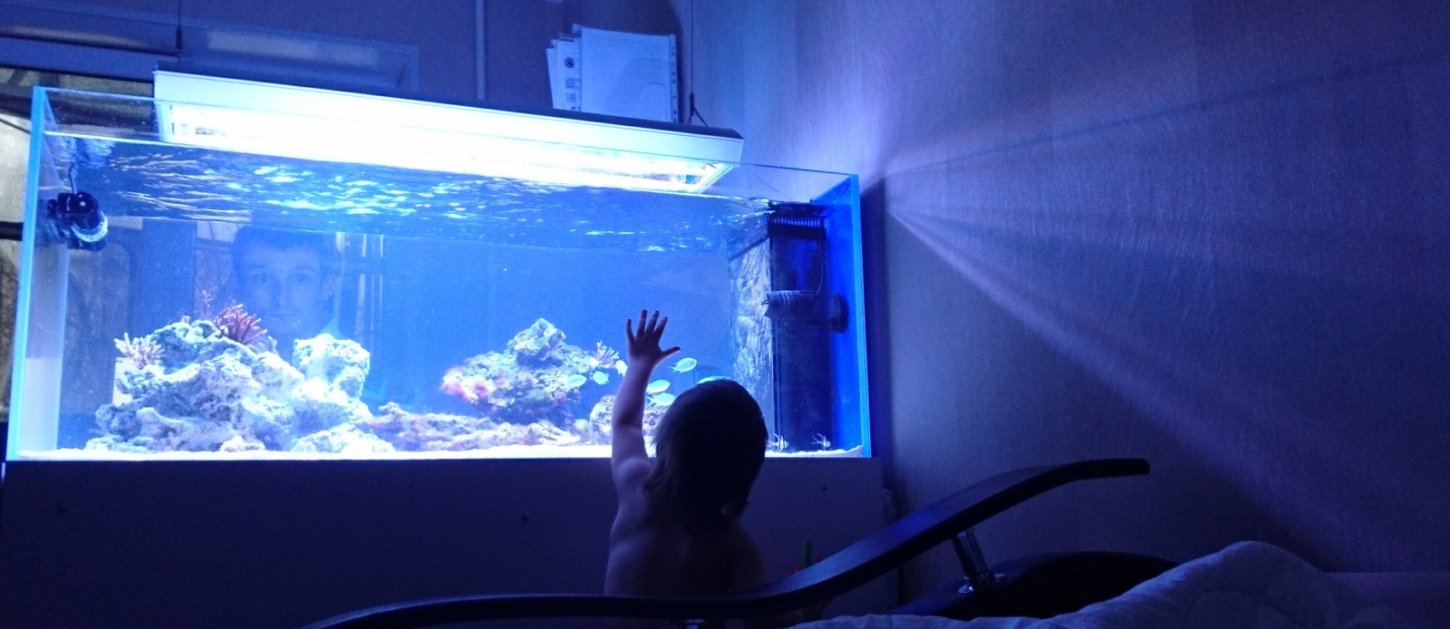 Unexpected photo - My, Aquarium, Family, Husband, Hide and seek, Longpost