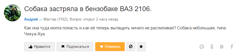 Собака в бензобаке - Mailru ответы, Собака, Бензобак, Чихуахуа, АвтоВАЗ, Бензиновая псина