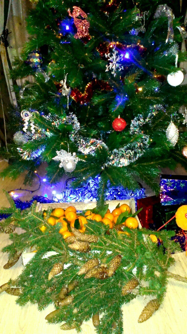 Christmas mood! - My, New Year, Christmas trees, 