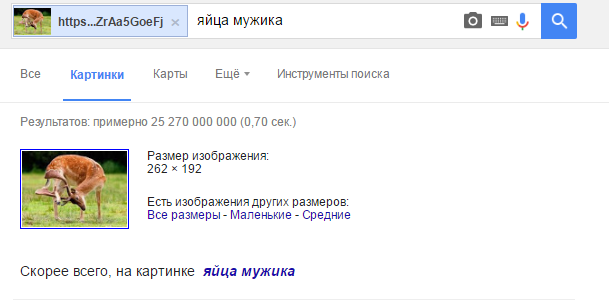 Ща, подожди, какая-то хрень в рогах застряла - Олень, Рога, Длиннопост, Олени