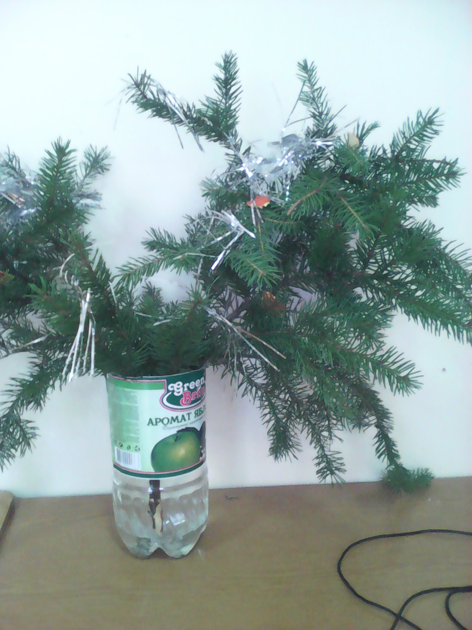 poor tree - My, Christmas trees, Hospital, Tags are clearly not mine