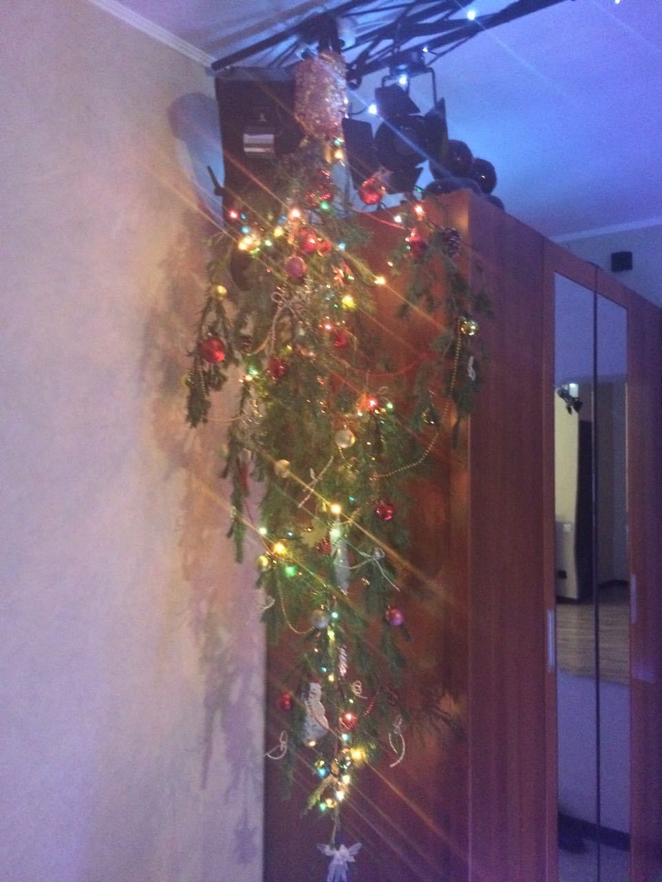 В Средневековье новогодние елки висели на потолке