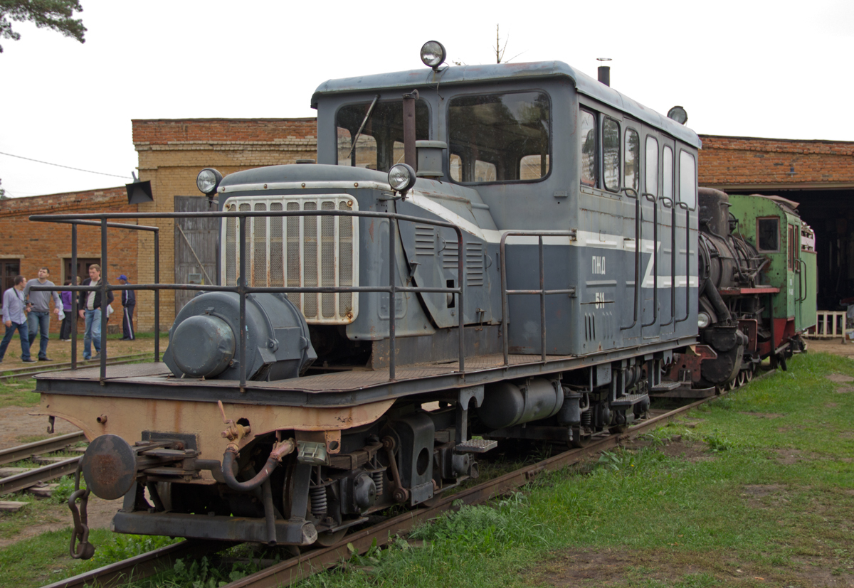 How I was not divorced and unexpected details from the photo. - My, Pioneers, Narrow gauge, Motor locomotive, Childhood, Village, Longpost