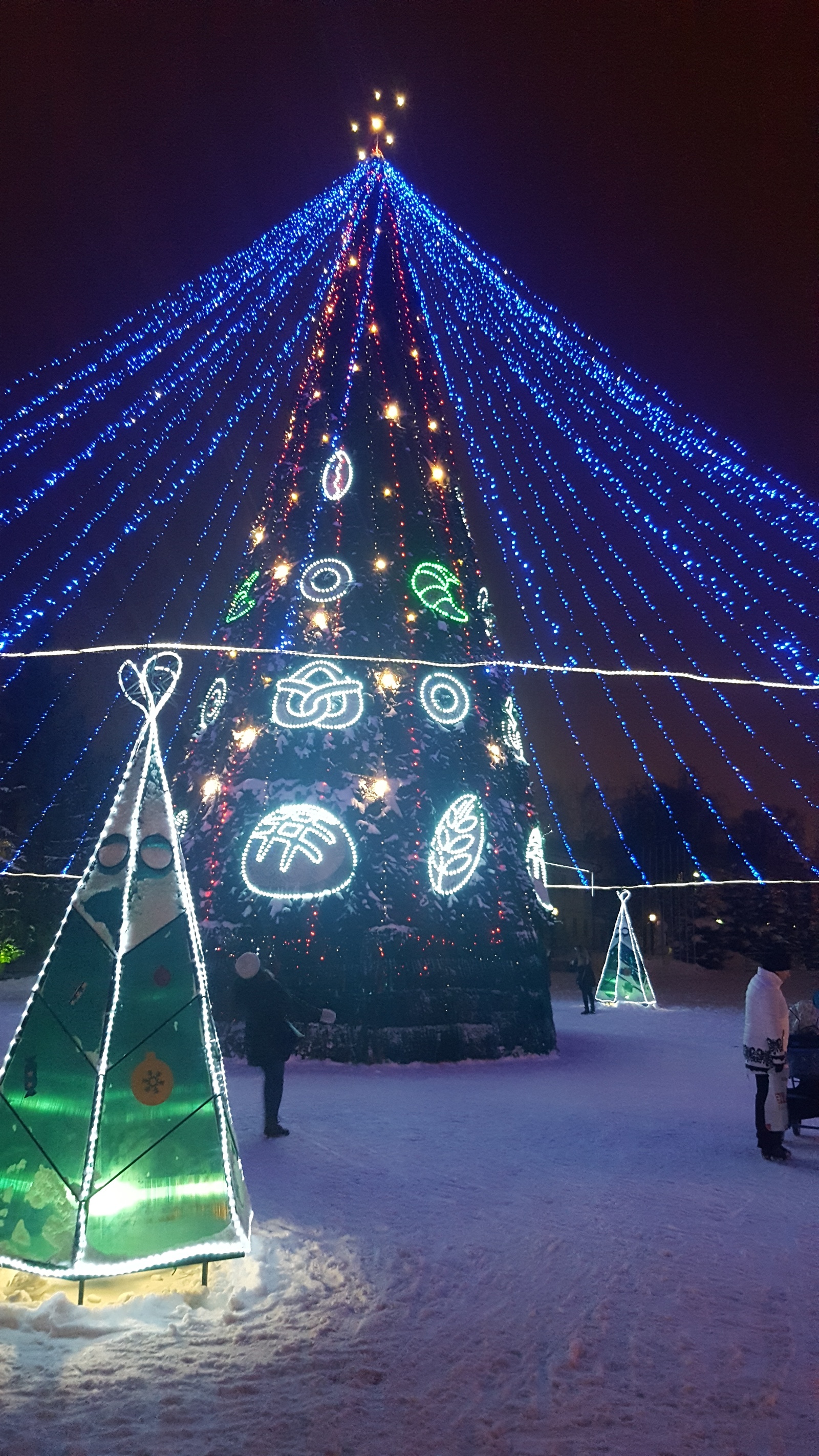 City Bubble Tree - My, New Year, Christmas trees, Bread, Buns