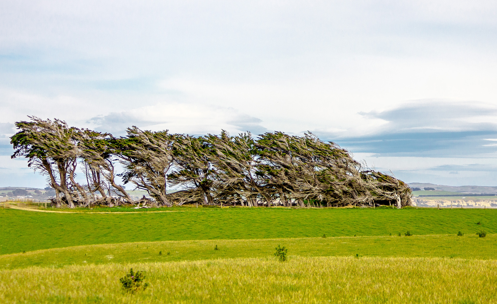 Windy - My, Photo, New Zealand, Nature