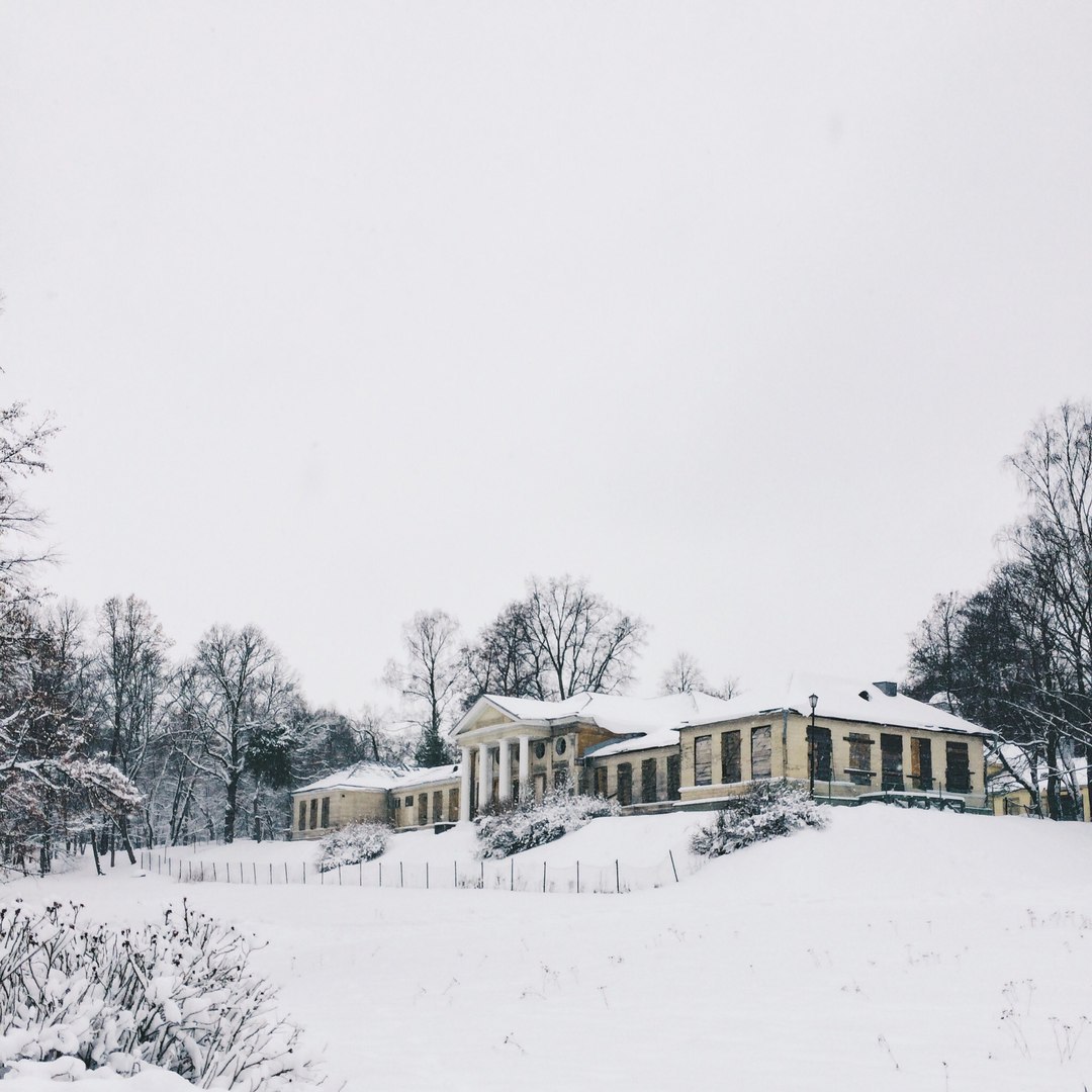 Snow-covered landscapes of Monrepos park - My, Photo, The photo, Nature, Winter, Snow, Russia, Longpost