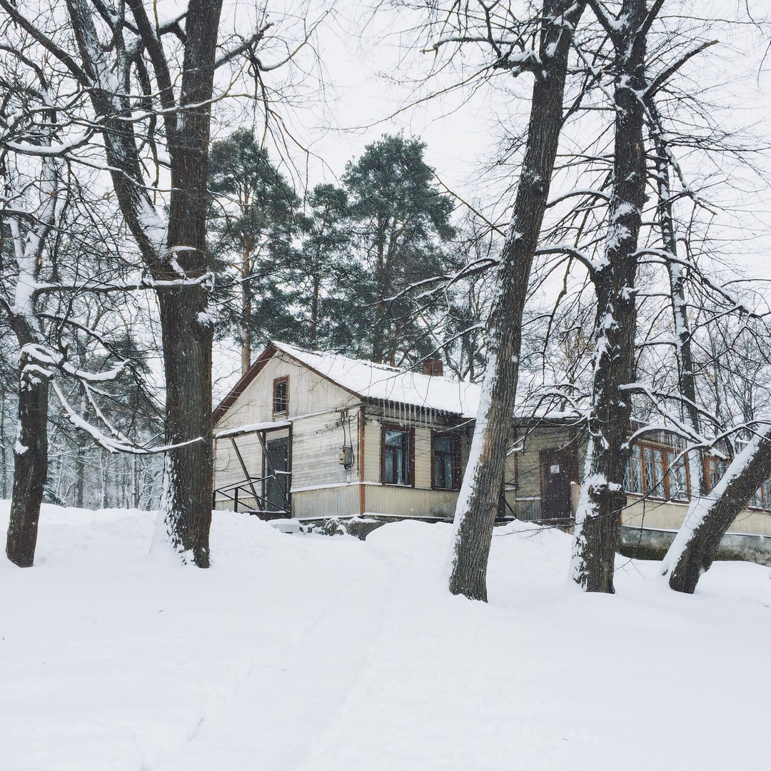 Snow-covered landscapes of Monrepos park - My, Photo, The photo, Nature, Winter, Snow, Russia, Longpost