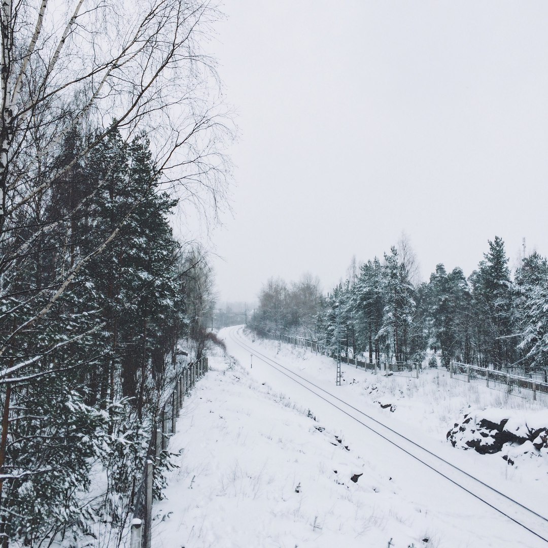 Snow-covered landscapes of Monrepos park - My, Photo, The photo, Nature, Winter, Snow, Russia, Longpost