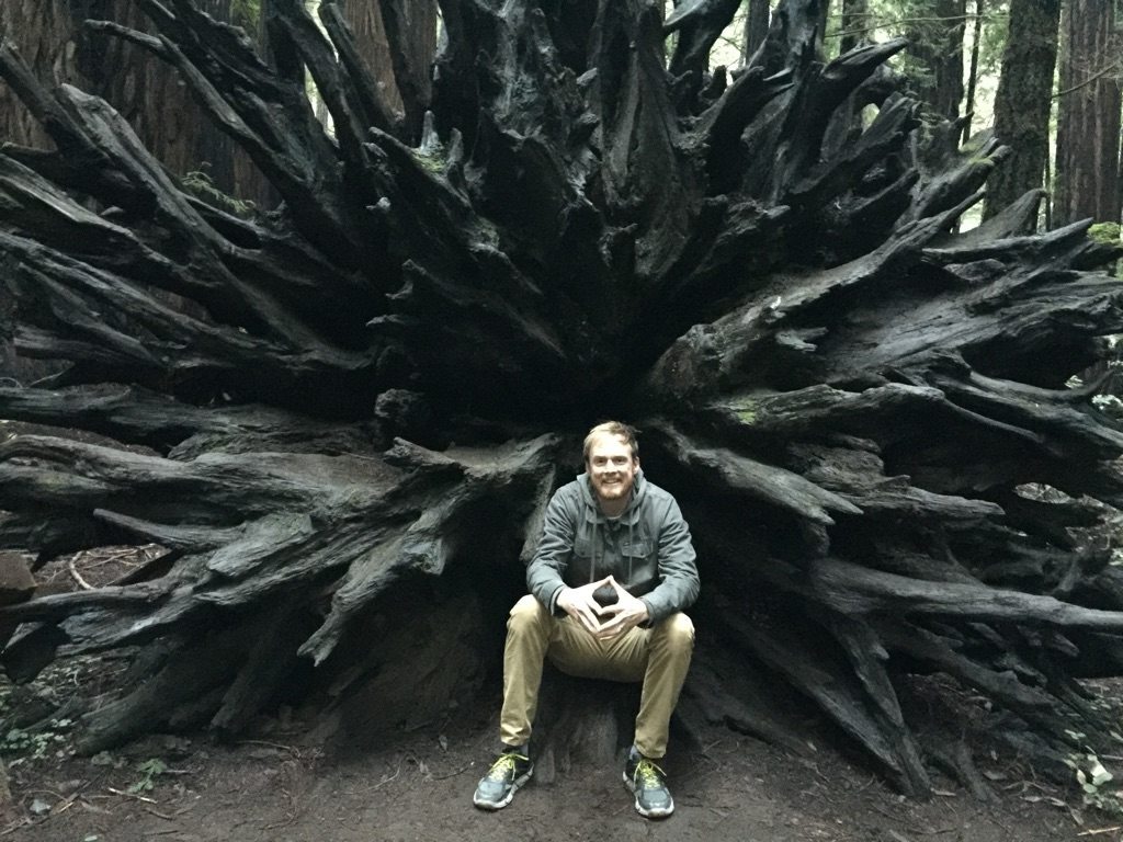 Uprooted sequoia roots - Photo, Sequoia, Throne, Roots