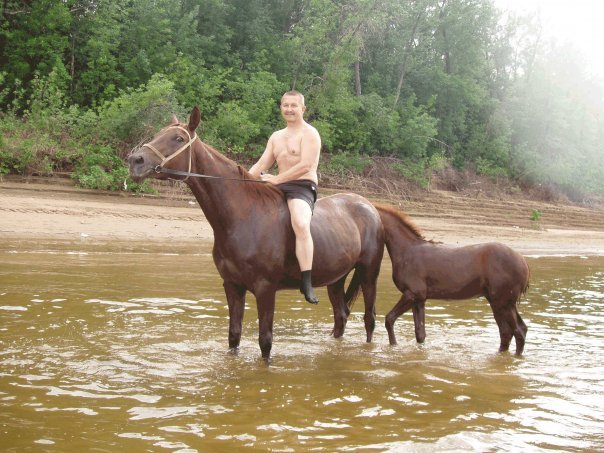 About horses and water - My, Horses, Horses, Bathing, Summer, Video, Longpost, Bathing