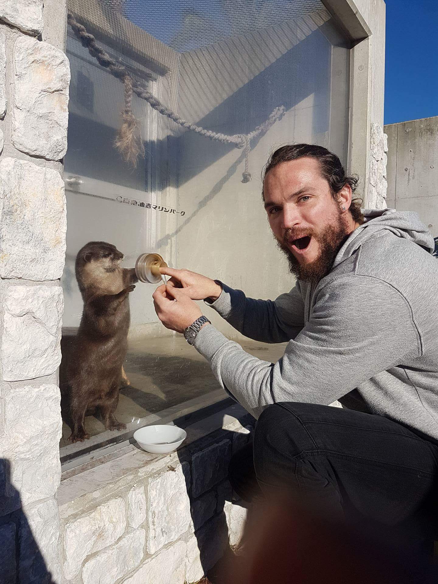 handshake hole)) - Otter, Zoo, Milota