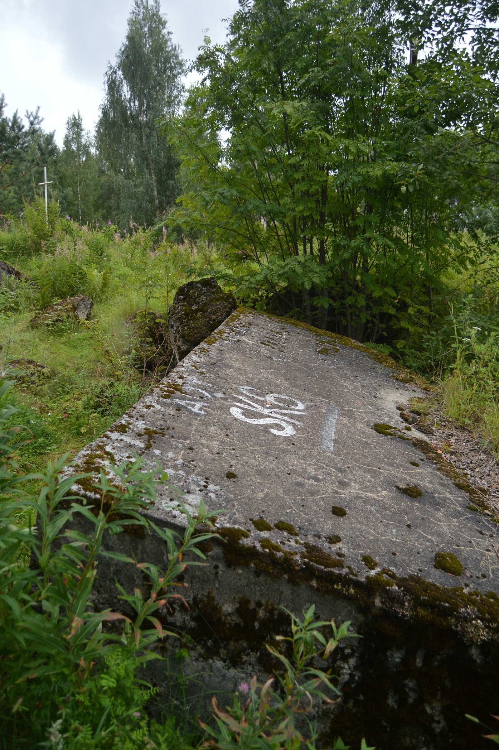 On the Karelian Isthmus. - My, Mannerheim Line, Soviet-Finnish war, Pillbox, Longpost