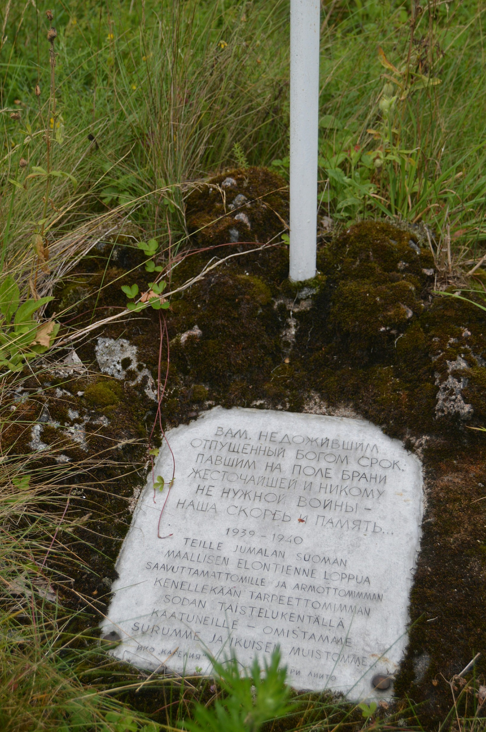 On the Karelian Isthmus. - My, Mannerheim Line, Soviet-Finnish war, Pillbox, Longpost