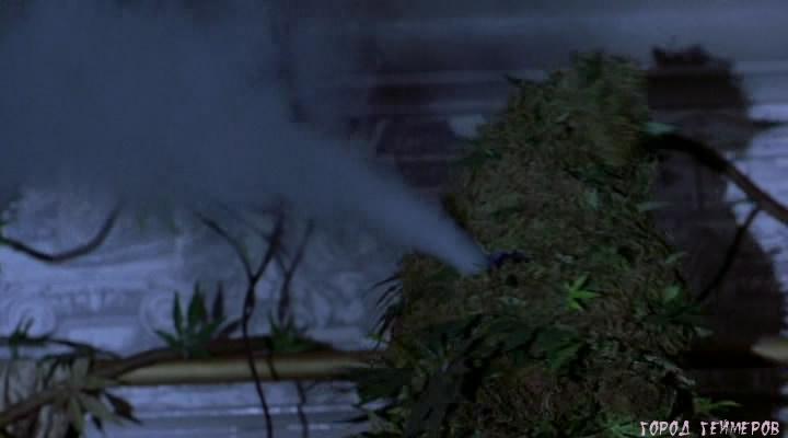 Конопля в кино марихуана от псориаза