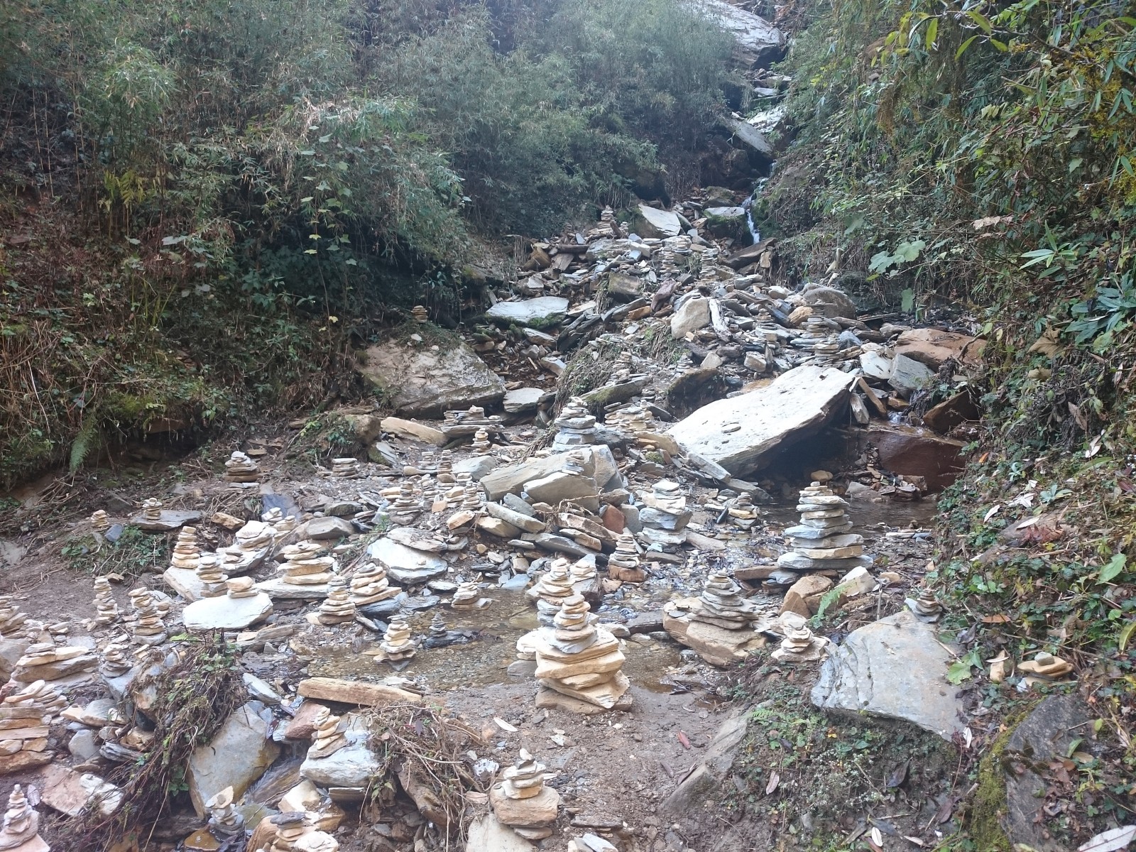 With a backpack around the world. Day 112-113. Nepal. The third and last day of the track, pain in the calves, tangerines and the finish line. - My, SrГјkzakompomiru, Travels, Longpost, Asia, Interesting, Nepal, Himalayas, The mountains