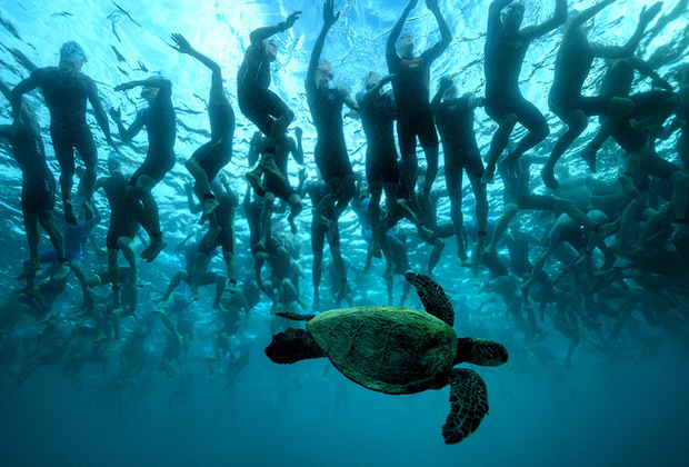 Some Getty Images - green turtle, Triathlon