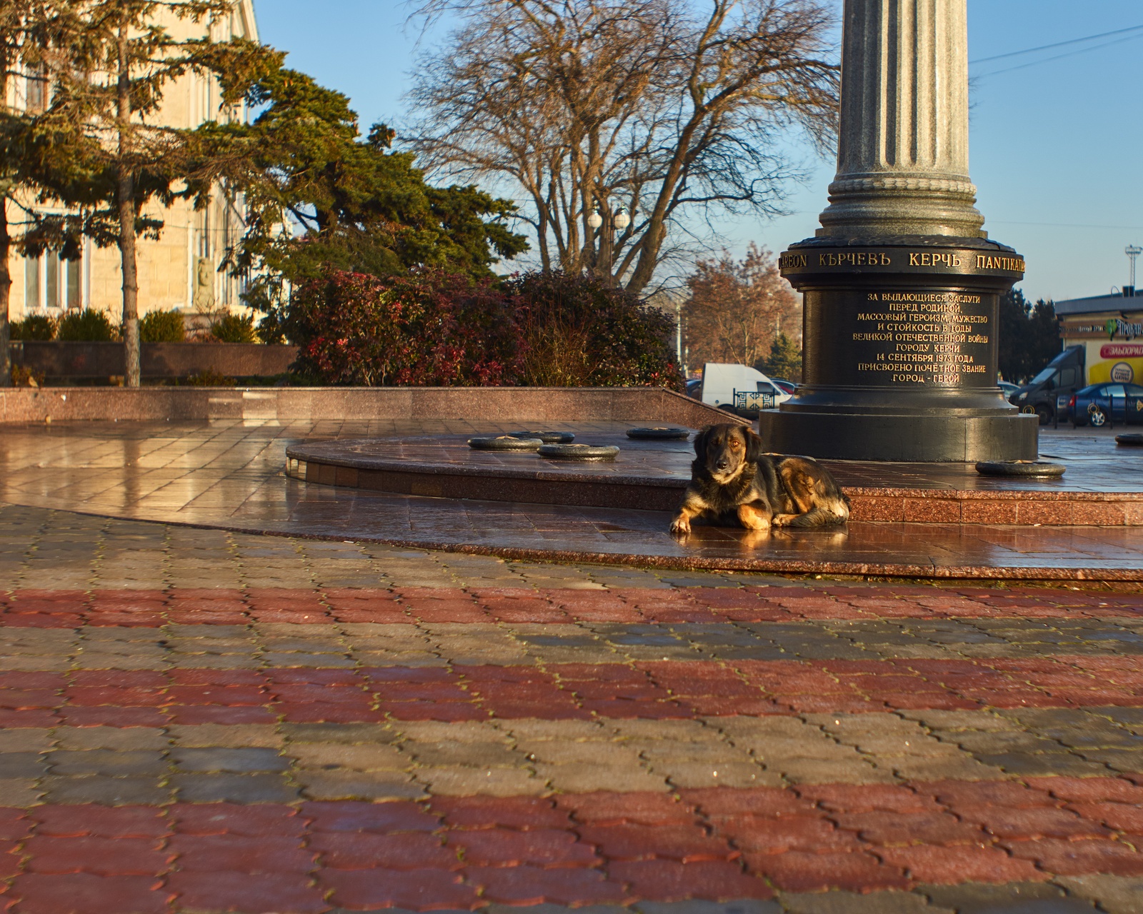 Kerch - My, Kerch, Morning, Dog, Stele, Crimea