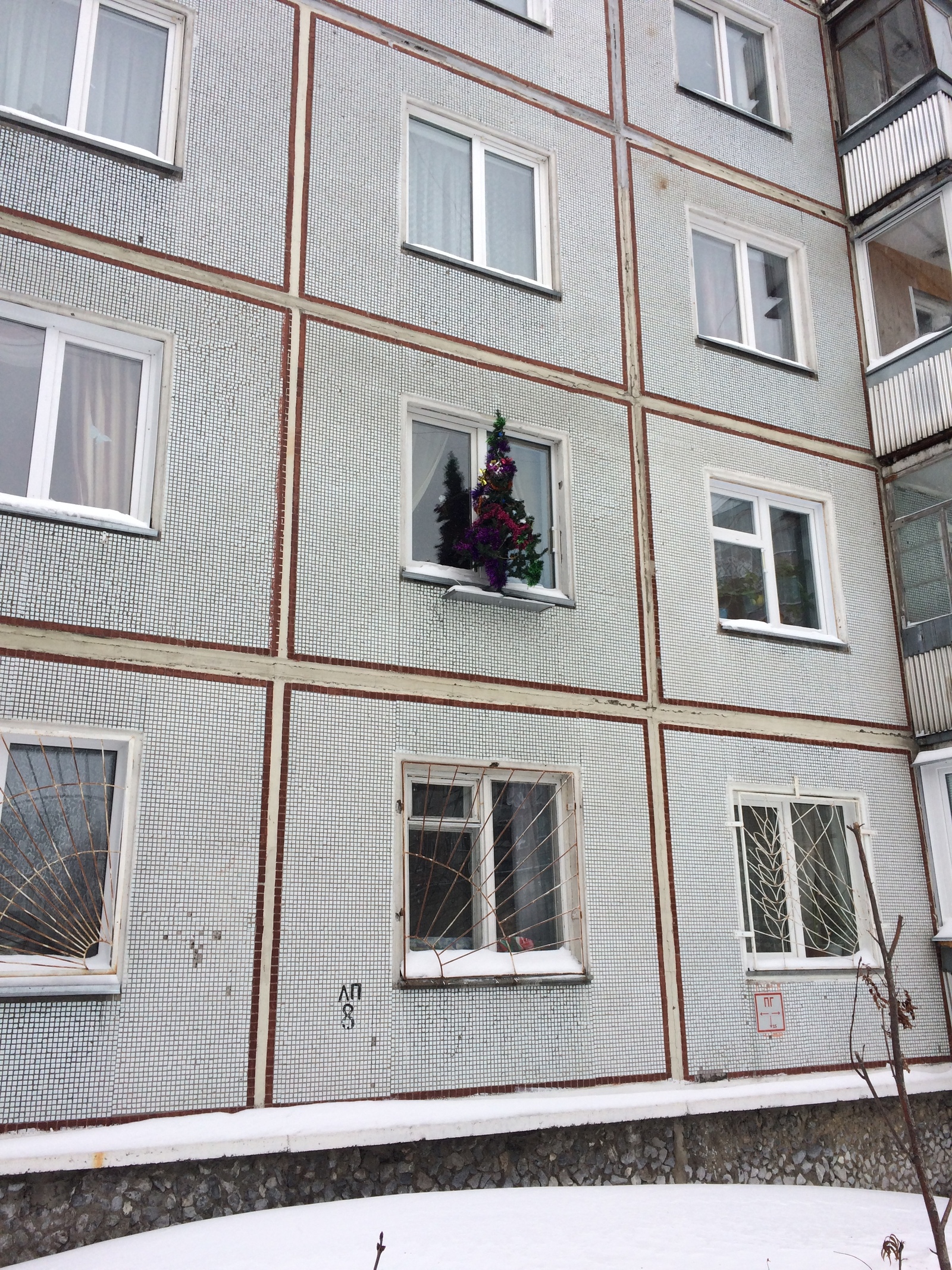 When you have four cats and a dog - Akademgorodok, New Year, Christmas trees, Longpost