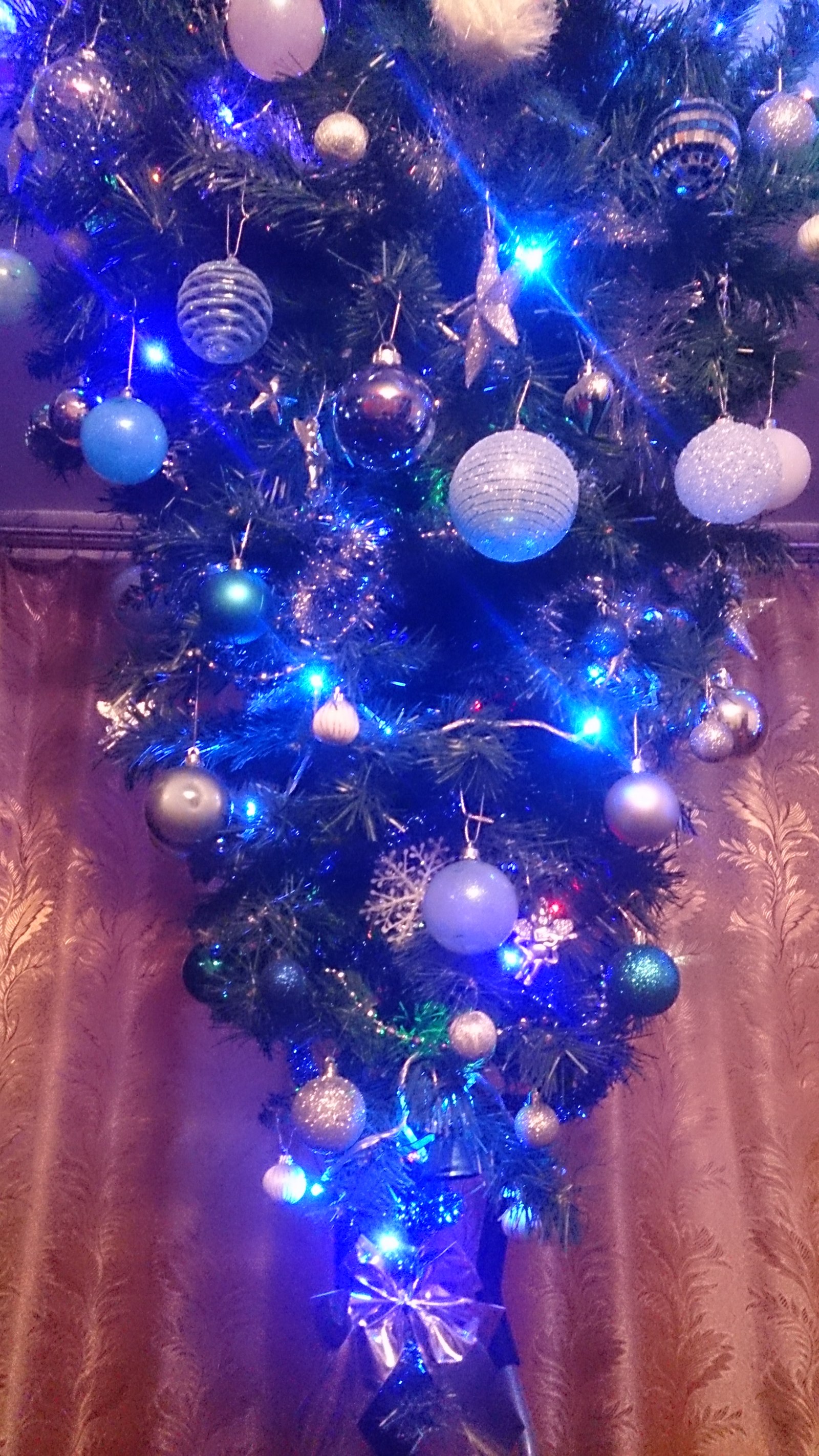 Pikabushniki, Happy New Year everyone! - My, Christmas trees, New Year, Vice versa