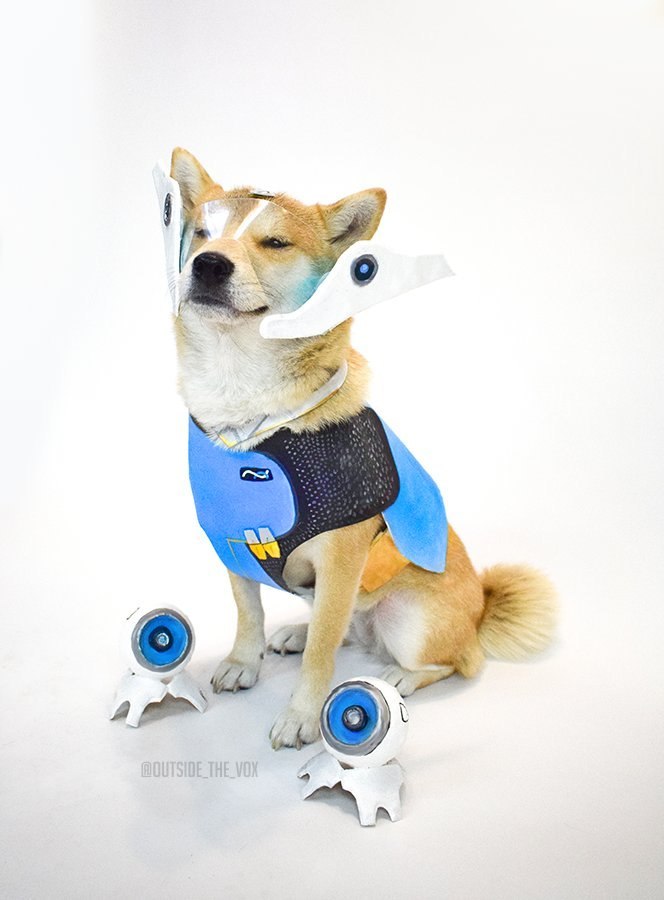 Again cute dog ^_^ - Overwatch, Symmetra, Dog, Cosplay, Longpost