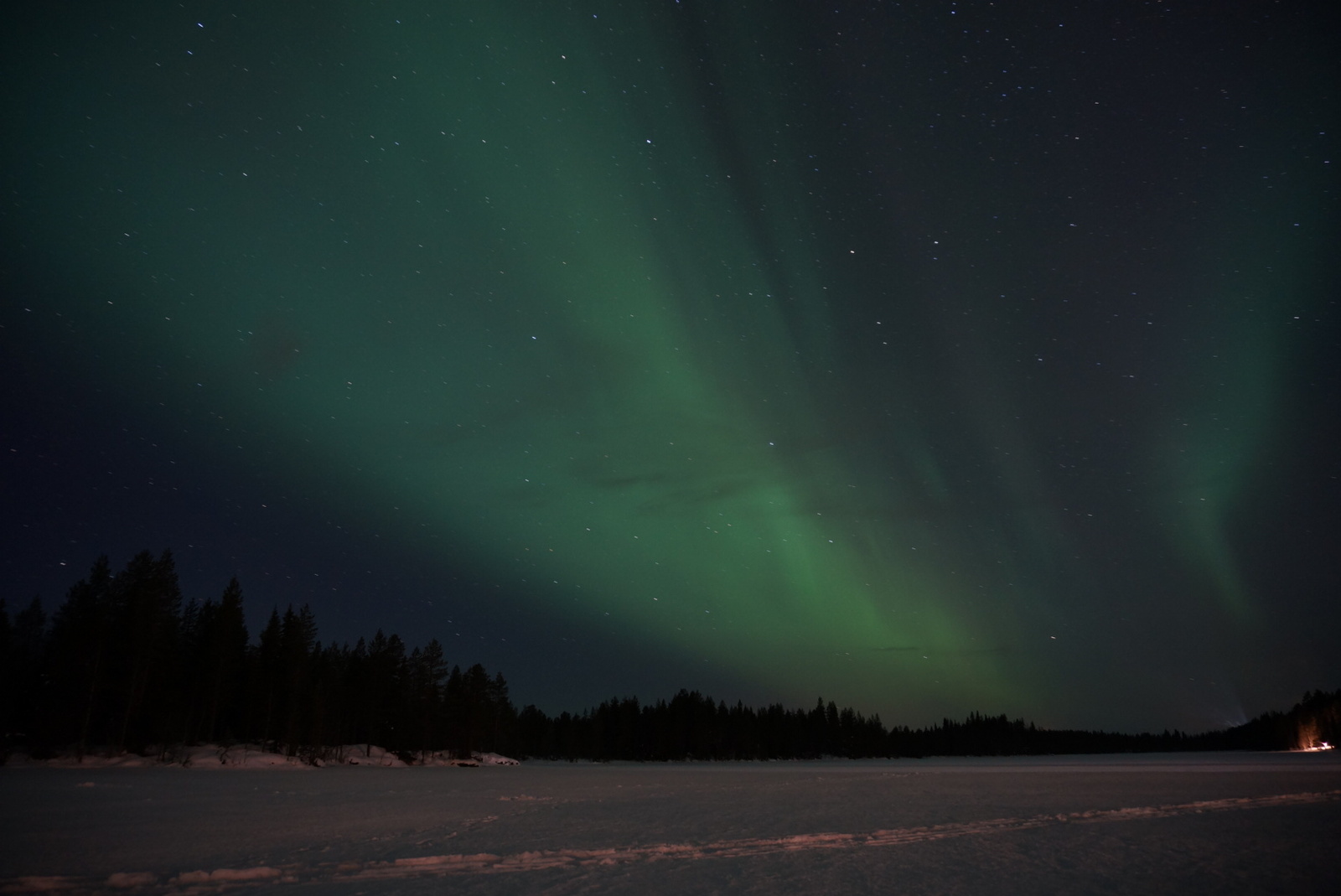 Северное сияние 16 декабря — Aurora Hunters SPB, Охотники за северным сиянием СПб.