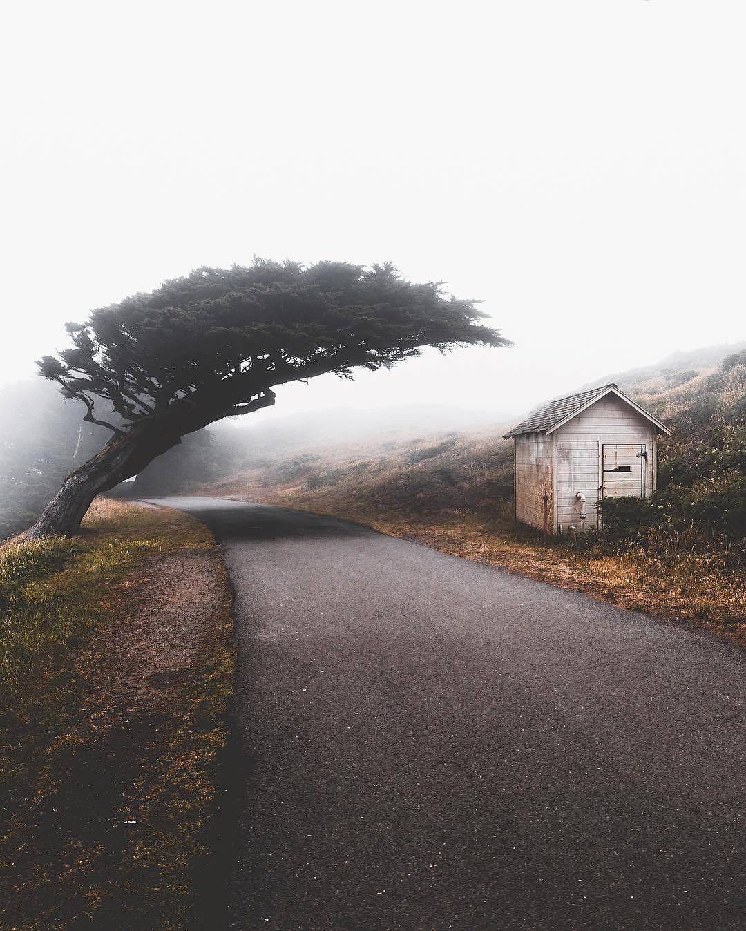 House, tree, road! (3D) - House, Tree, Road