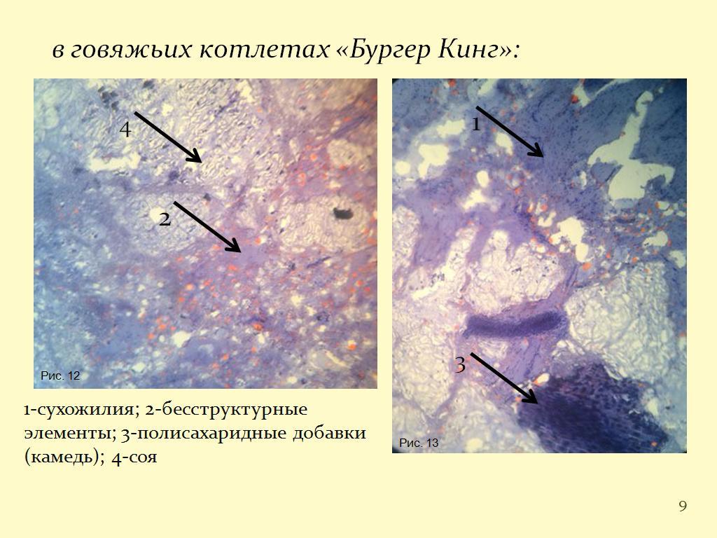 What meatballs look like under a microscope - My, Cutlets, The science, McDonald's, Food, Burger King, Studies, Longpost