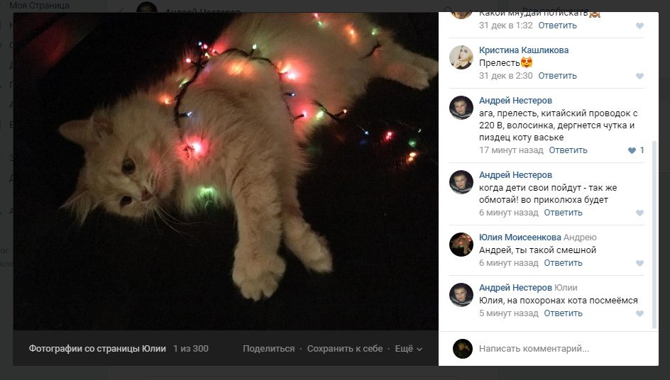 9 lives - New Year, cat, Garland, Comments, In contact with