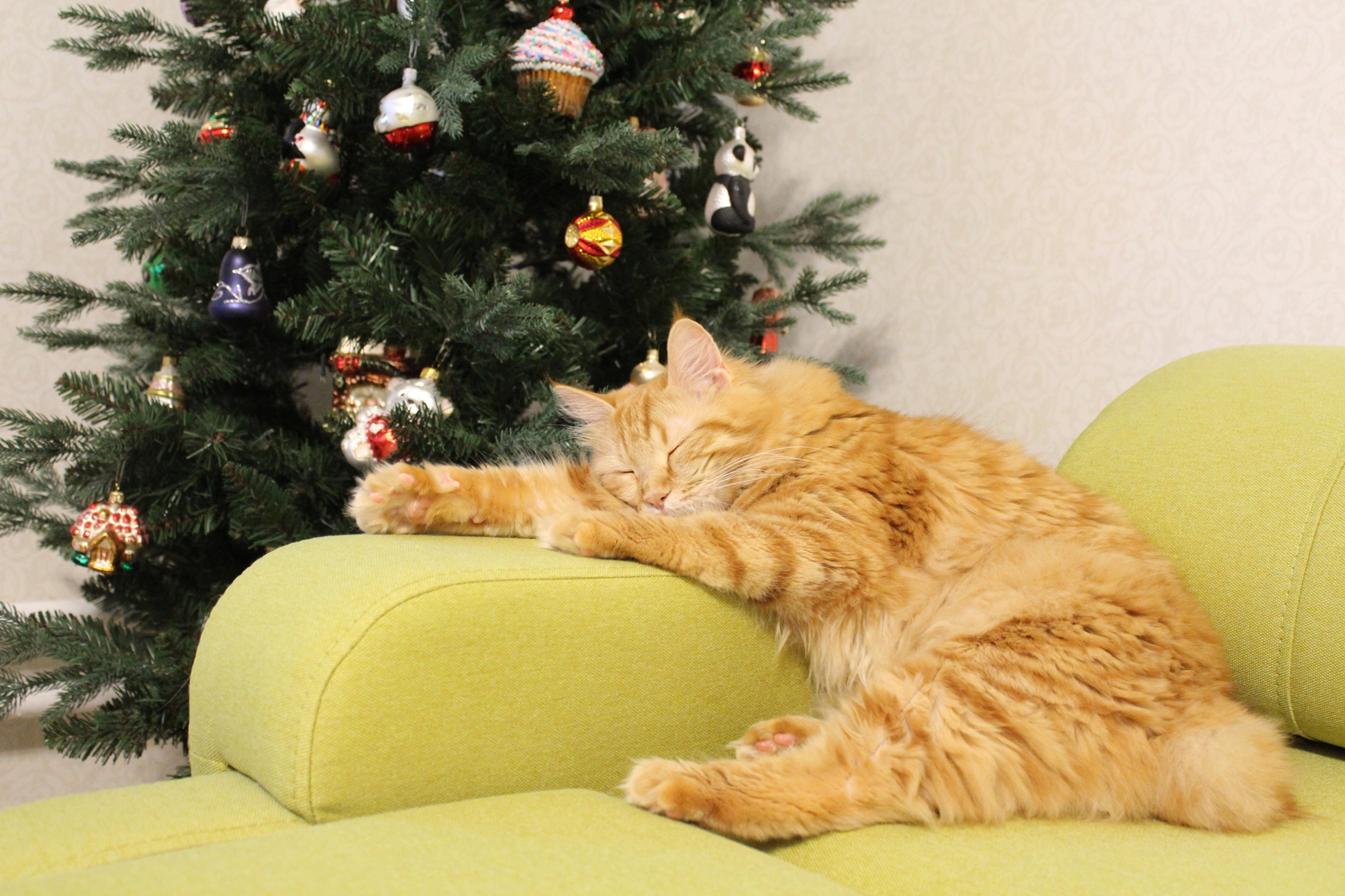 When you suddenly realize that the holiday is over, but then you remember that there are still a few more days of peace ahead :) - My, New Year, Holidays, Bobtail, cat, 