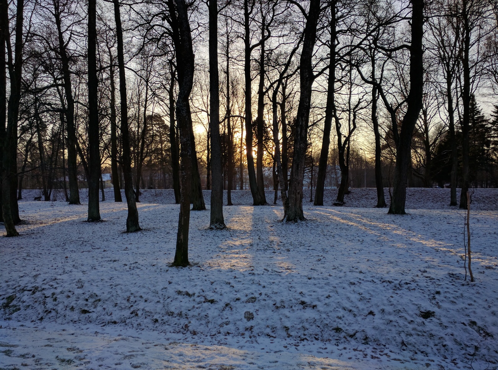 St. Petersburg frost - My, Saint Petersburg, Winter, Cold, Sea, The sun, Sestroretsk, Leningrad region, Longpost