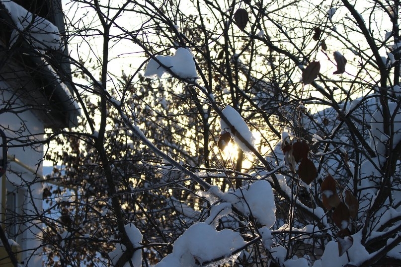 First photos - My, First time, Canon, Night, Winter, Excerpt