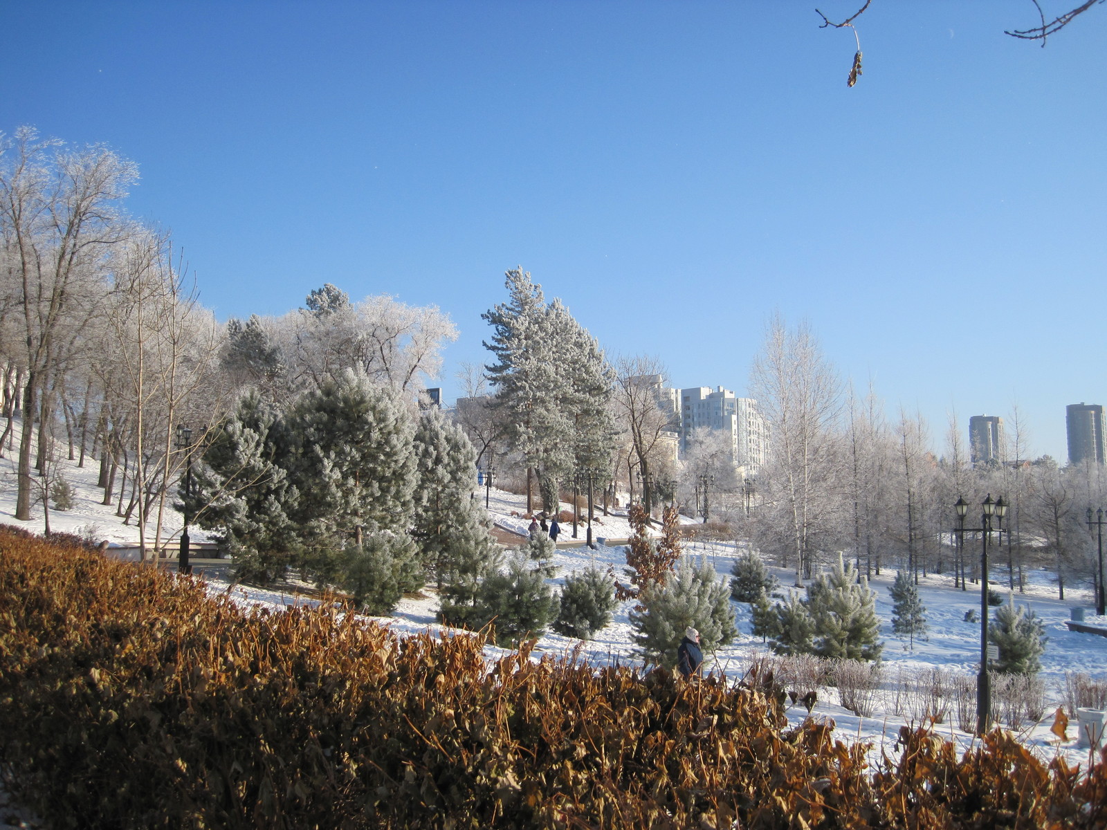 Winter Khabarovsk - My, Khabarovsk, Fog, Story, beauty, Longpost