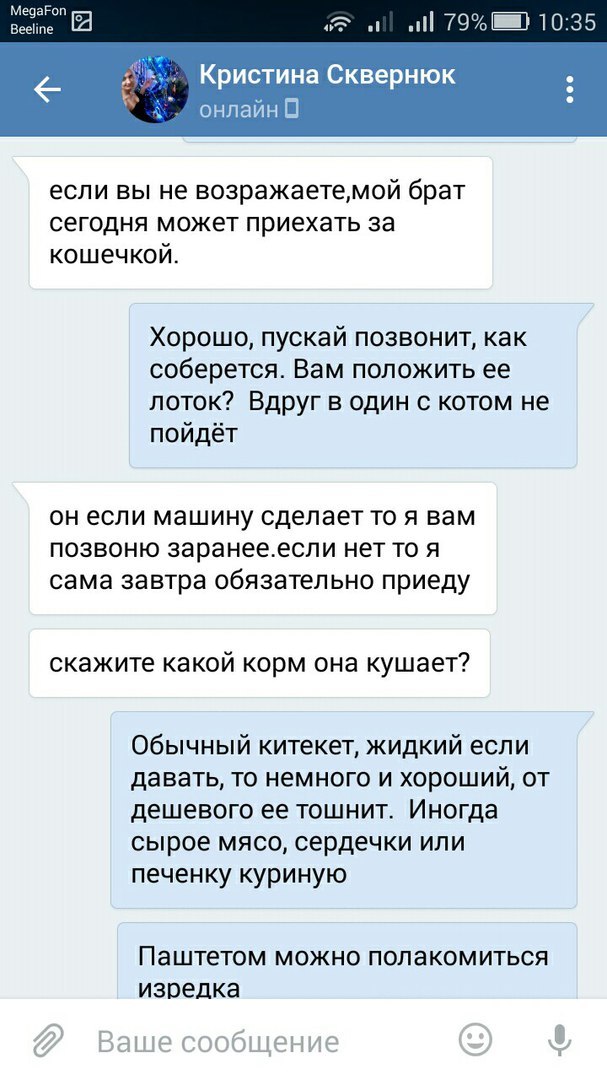 Прошу вас, никогда не отдавайте животных этой женщине. - Таганрог, Обе дуры, Кошку жалко, Длиннопост, Кот