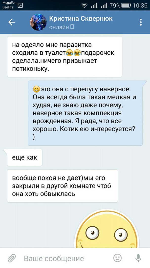 Прошу вас, никогда не отдавайте животных этой женщине. - Таганрог, Обе дуры, Кошку жалко, Длиннопост, Кот