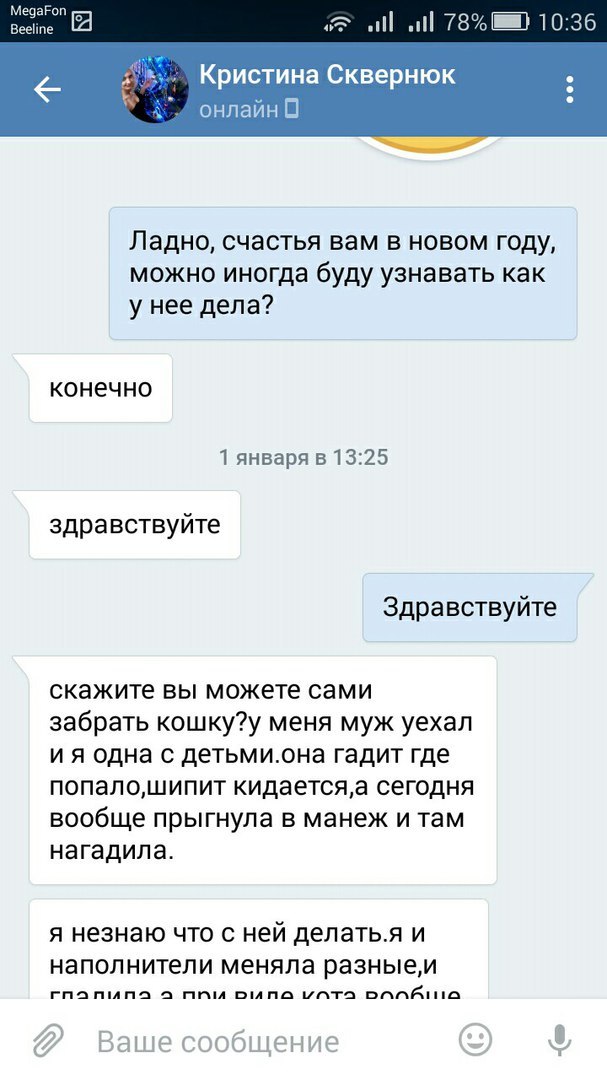 Прошу вас, никогда не отдавайте животных этой женщине. - Таганрог, Обе дуры, Кошку жалко, Длиннопост, Кот