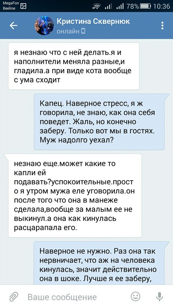 Прошу вас, никогда не отдавайте животных этой женщине. - Таганрог, Обе дуры, Кошку жалко, Длиннопост, Кот