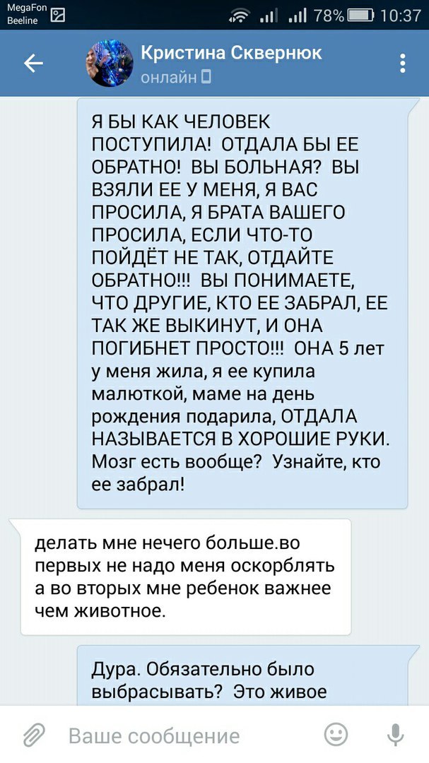 Прошу вас, никогда не отдавайте животных этой женщине. - Таганрог, Обе дуры, Кошку жалко, Длиннопост, Кот