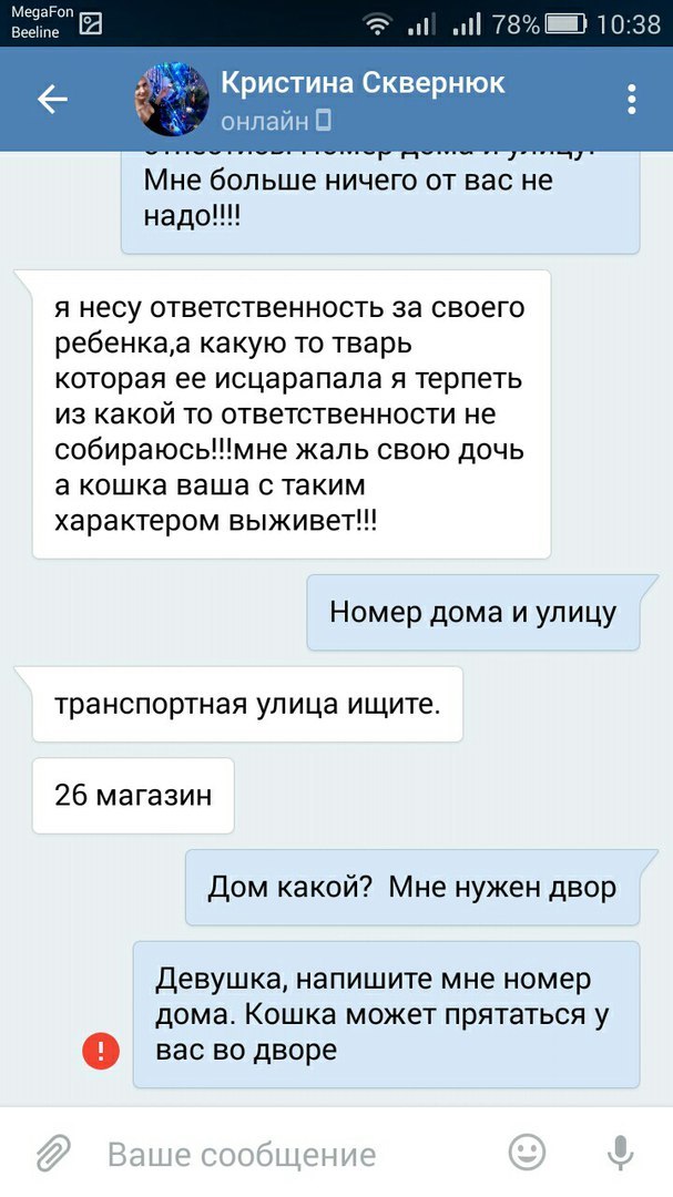 Прошу вас, никогда не отдавайте животных этой женщине. - Таганрог, Обе дуры, Кошку жалко, Длиннопост, Кот