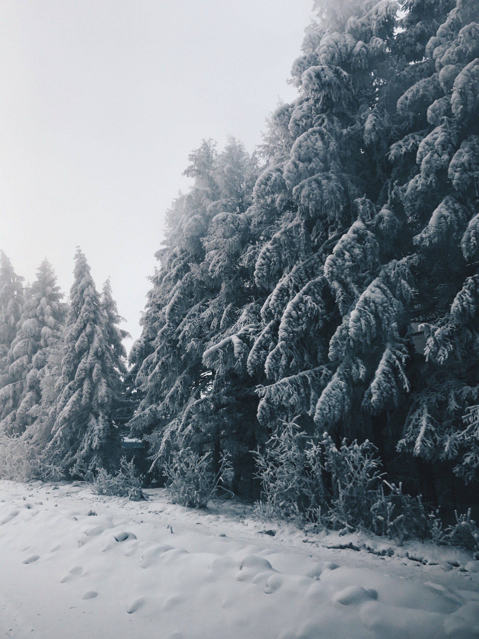 Greetings from the city of Neryungri!!! (The Republic of Sakha (Yakutia)) - My, Yakutia, Neryungri, Winter, New Year, Father Frost, beauty, Longpost