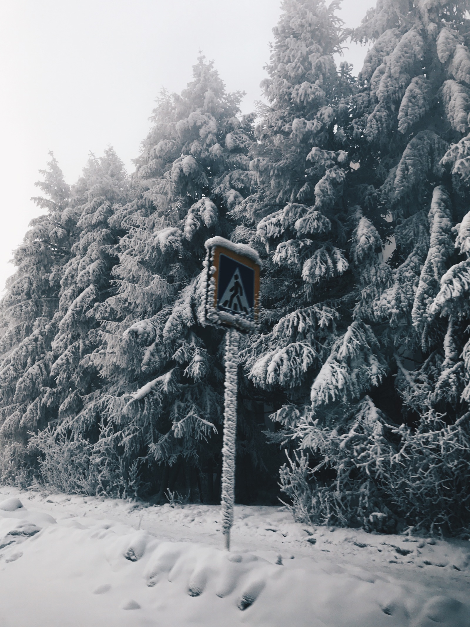 Greetings from the city of Neryungri!!! (The Republic of Sakha (Yakutia)) - My, Yakutia, Neryungri, Winter, New Year, Father Frost, beauty, Longpost