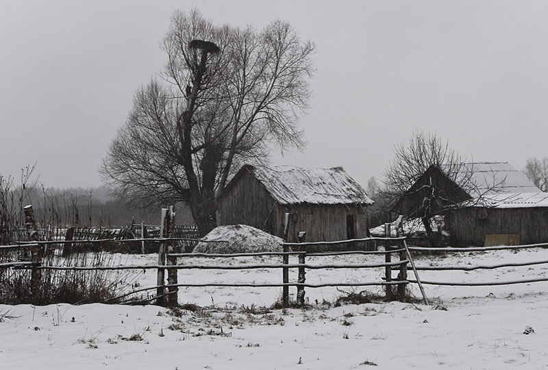 50 shades of gray - Grayness, Russia, Honestly stolen, I don't like winter, Winter