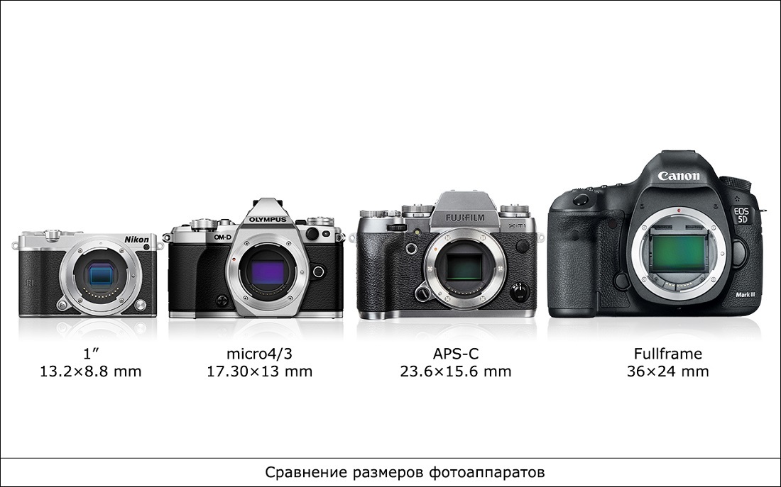 10 мифов в фотографии - Фото, Искусство, Мифы, Статья, Антон Мартынов, Композиция, Постановка, Золотое сечение, Длиннопост