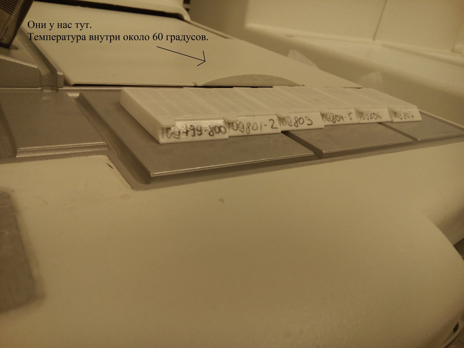 Histological laboratory (part 4) - My, Histology, Work, Oncology, Pathologist, Laboratory, Longpost, 