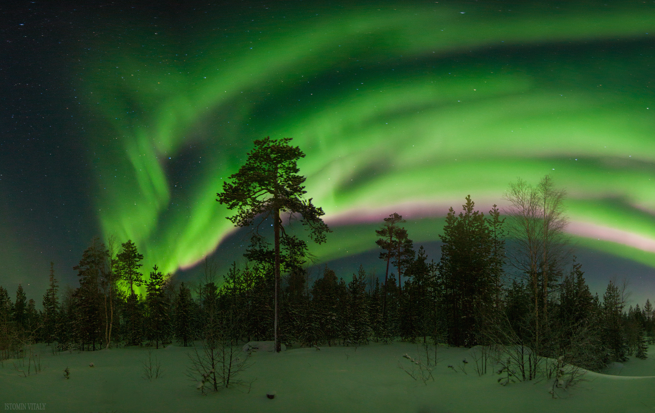 northern Lights - My, Winter, New Year, Russia, Photographer, Selfie, freezing, Longpost, The photo, Polar Lights