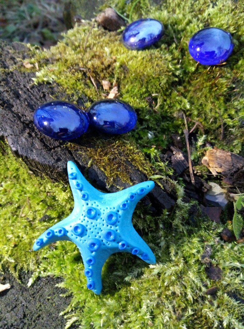 Modeling - relaxation or my first steps in working with polymer clay. - My, Polymer clay, Owl, Star, Brooch, Needlework, Hobby, With your own hands, Starfish, Longpost